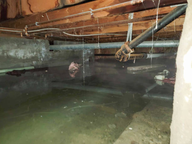 Water damage restoration process in Springs, NY