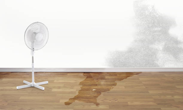 Reliable Springs, NY Water damage restoration Solutions