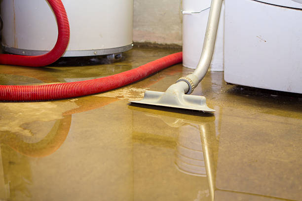 Water damage restoration mold remediation in Springs, NY