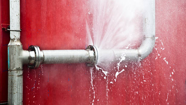 Best Flooded house restoration  in Springs, NY